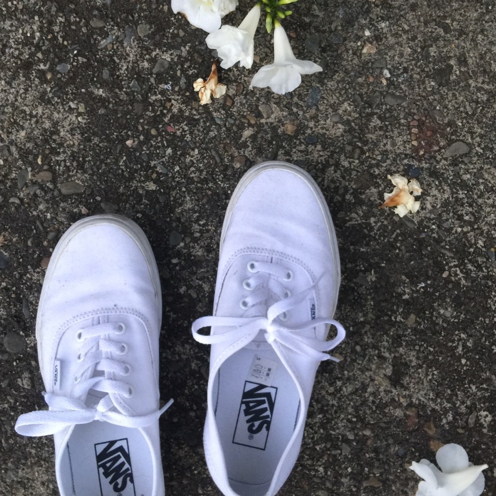 Classic Low Top Vans